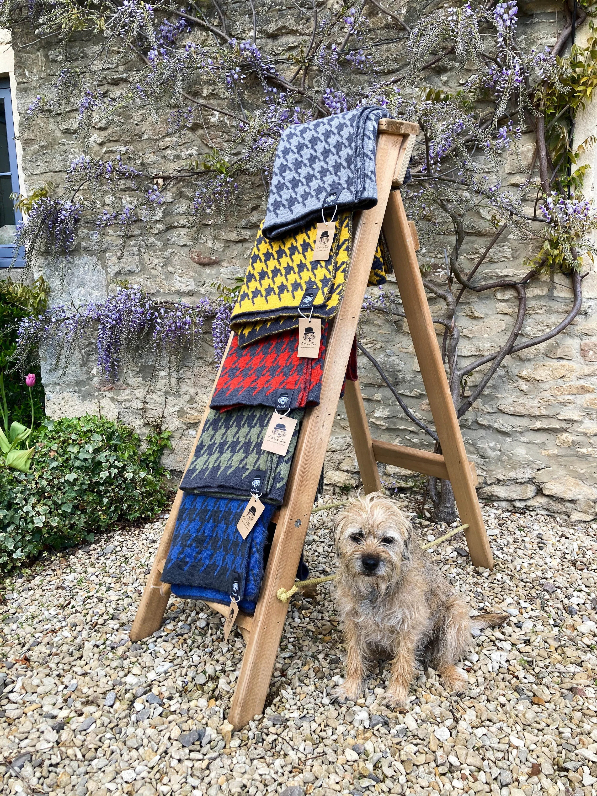 Outside best sale dog blankets